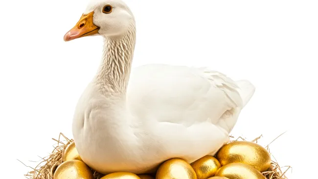 Goose golden egg